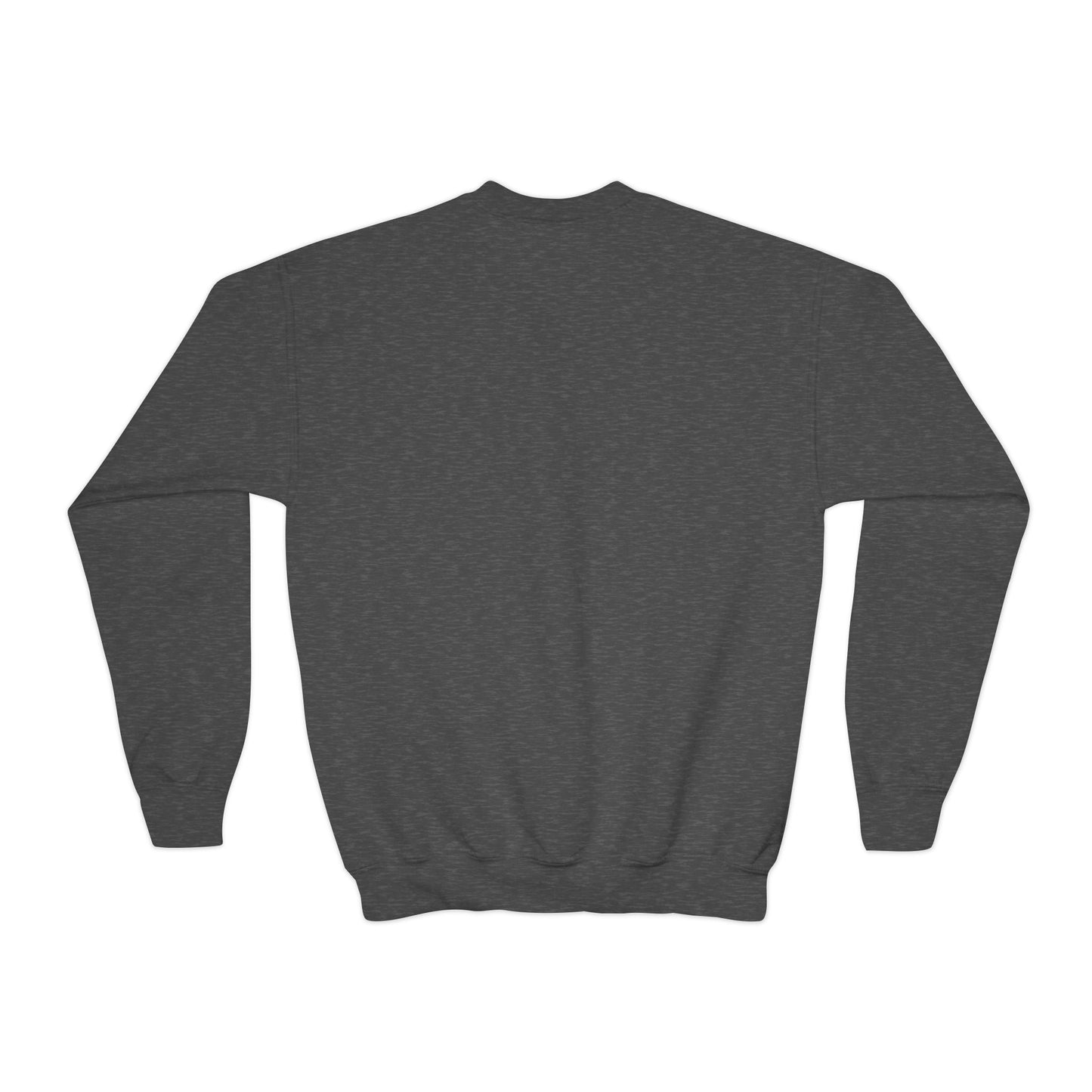 Don't Stop Believin' Youth Crewneck Sweatshirt